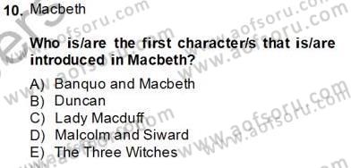 İngiliz/Amerikan Edebiyatı 2 Dersi 2013 - 2014 Yılı Tek Ders Sınav Soruları 10. Soru