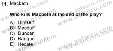 İngiliz/Amerikan Edebiyatı 2 Dersi 2013 - 2014 Yılı Tek Ders Sınav Soruları 11. Soru