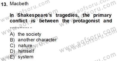 İngiliz/Amerikan Edebiyatı 2 Dersi 2013 - 2014 Yılı Tek Ders Sınav Soruları 13. Soru