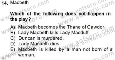 İngiliz/Amerikan Edebiyatı 2 Dersi 2013 - 2014 Yılı Tek Ders Sınav Soruları 14. Soru