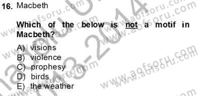 İngiliz/Amerikan Edebiyatı 2 Dersi 2013 - 2014 Yılı Tek Ders Sınav Soruları 16. Soru