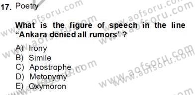 İngiliz/Amerikan Edebiyatı 2 Dersi 2013 - 2014 Yılı Tek Ders Sınav Soruları 17. Soru