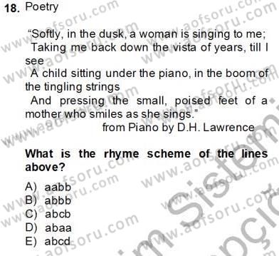 İngiliz/Amerikan Edebiyatı 2 Dersi 2013 - 2014 Yılı Tek Ders Sınav Soruları 18. Soru