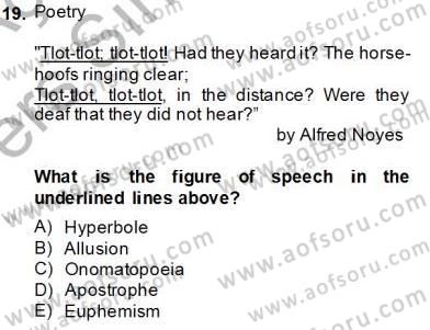 İngiliz/Amerikan Edebiyatı 2 Dersi 2013 - 2014 Yılı Tek Ders Sınav Soruları 19. Soru