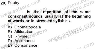 İngiliz/Amerikan Edebiyatı 2 Dersi 2013 - 2014 Yılı Tek Ders Sınav Soruları 20. Soru