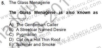 İngiliz/Amerikan Edebiyatı 2 Dersi 2013 - 2014 Yılı Tek Ders Sınav Soruları 5. Soru