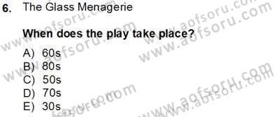 İngiliz/Amerikan Edebiyatı 2 Dersi 2013 - 2014 Yılı Tek Ders Sınav Soruları 6. Soru