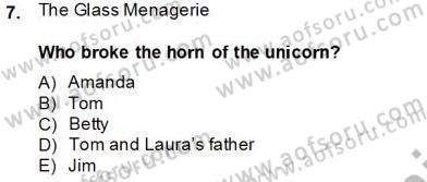 İngiliz/Amerikan Edebiyatı 2 Dersi 2013 - 2014 Yılı Tek Ders Sınav Soruları 7. Soru