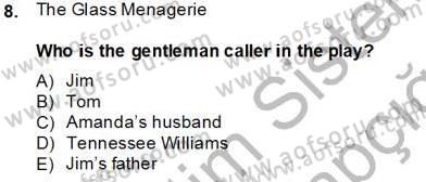 İngiliz/Amerikan Edebiyatı 2 Dersi 2013 - 2014 Yılı Tek Ders Sınav Soruları 8. Soru