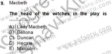 İngiliz/Amerikan Edebiyatı 2 Dersi 2013 - 2014 Yılı Tek Ders Sınav Soruları 9. Soru