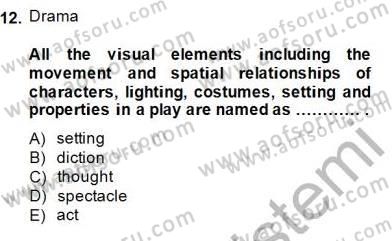 İngiliz/Amerikan Edebiyatı 2 Dersi 2014 - 2015 Yılı (Vize) Ara Sınav Soruları 12. Soru