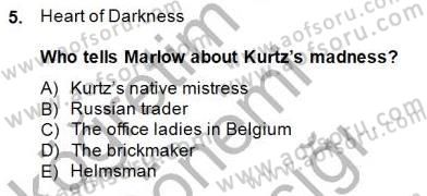 İngiliz/Amerikan Edebiyatı 2 Dersi 2014 - 2015 Yılı (Vize) Ara Sınav Soruları 5. Soru