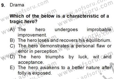 İngiliz/Amerikan Edebiyatı 2 Dersi 2014 - 2015 Yılı (Vize) Ara Sınav Soruları 9. Soru