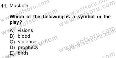 İngiliz/Amerikan Edebiyatı 2 Dersi 2014 - 2015 Yılı (Final) Dönem Sonu Sınav Soruları 11. Soru