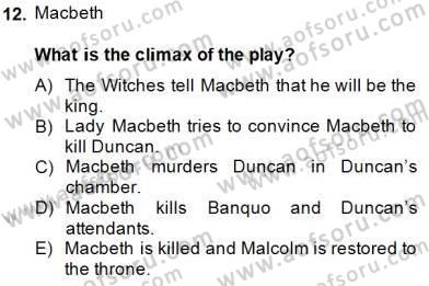 İngiliz/Amerikan Edebiyatı 2 Dersi 2014 - 2015 Yılı (Final) Dönem Sonu Sınav Soruları 12. Soru