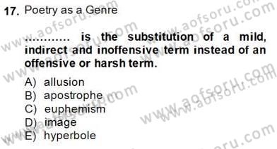 İngiliz/Amerikan Edebiyatı 2 Dersi 2014 - 2015 Yılı (Final) Dönem Sonu Sınav Soruları 17. Soru