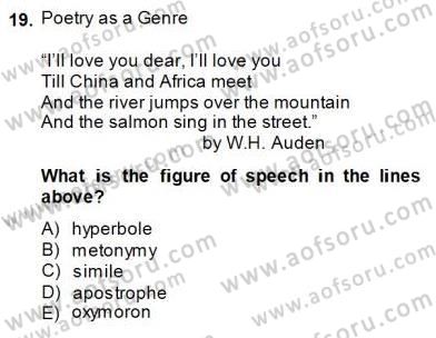 İngiliz/Amerikan Edebiyatı 2 Dersi 2014 - 2015 Yılı (Final) Dönem Sonu Sınav Soruları 19. Soru