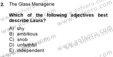 İngiliz/Amerikan Edebiyatı 2 Dersi 2014 - 2015 Yılı (Final) Dönem Sonu Sınav Soruları 2. Soru