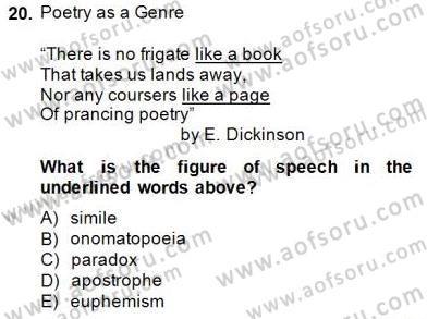 İngiliz/Amerikan Edebiyatı 2 Dersi 2014 - 2015 Yılı (Final) Dönem Sonu Sınav Soruları 20. Soru