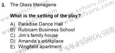 İngiliz/Amerikan Edebiyatı 2 Dersi 2014 - 2015 Yılı (Final) Dönem Sonu Sınav Soruları 3. Soru