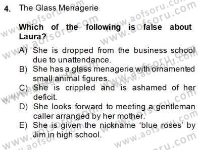 İngiliz/Amerikan Edebiyatı 2 Dersi 2014 - 2015 Yılı (Final) Dönem Sonu Sınav Soruları 4. Soru