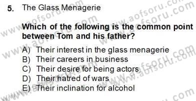 İngiliz/Amerikan Edebiyatı 2 Dersi 2014 - 2015 Yılı (Final) Dönem Sonu Sınav Soruları 5. Soru