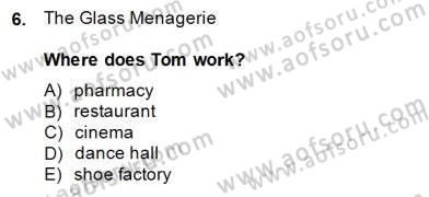 İngiliz/Amerikan Edebiyatı 2 Dersi 2014 - 2015 Yılı (Final) Dönem Sonu Sınav Soruları 6. Soru