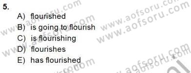 Pedagojik Gramer 2 Dersi 2014 - 2015 Yılı (Vize) Ara Sınav Soruları 5. Soru