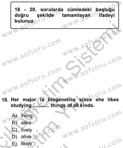 Pedagojik Gramer 2 Dersi 2016 - 2017 Yılı 3 Ders Sınav Soruları 18. Soru