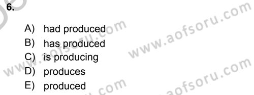 Pedagojik Gramer 2 Dersi 2016 - 2017 Yılı 3 Ders Sınav Soruları 6. Soru