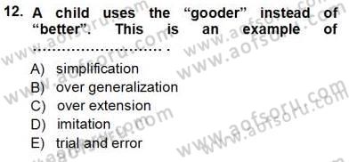 Dil Edinimi Dersi Ara Sınavı Deneme Sınav Soruları 12. Soru
