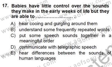 Dil Edinimi Dersi Ara Sınavı Deneme Sınav Soruları 17. Soru