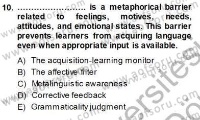 Dil Edinimi Dersi 2013 - 2014 Yılı (Vize) Ara Sınavı 10. Soru