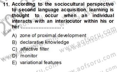 Dil Edinimi Dersi 2013 - 2014 Yılı (Vize) Ara Sınavı 11. Soru