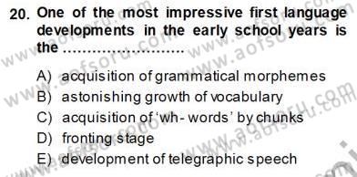 Dil Edinimi Dersi 2013 - 2014 Yılı (Vize) Ara Sınavı 20. Soru
