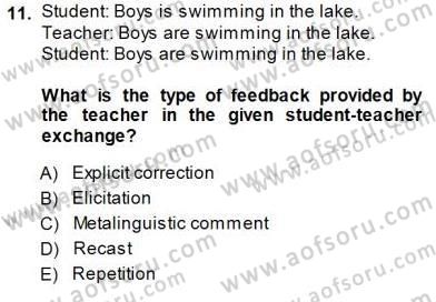 Dil Edinimi Dersi 2013 - 2014 Yılı (Final) Dönem Sonu Sınav Soruları 11. Soru