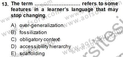 Dil Edinimi Dersi 2013 - 2014 Yılı (Final) Dönem Sonu Sınav Soruları 13. Soru