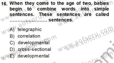Dil Edinimi Dersi 2013 - 2014 Yılı (Final) Dönem Sonu Sınavı 16. Soru