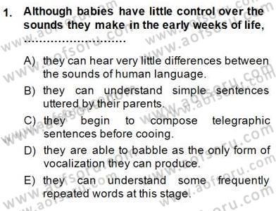 Dil Edinimi Dersi Ara Sınavı Deneme Sınav Soruları 1. Soru