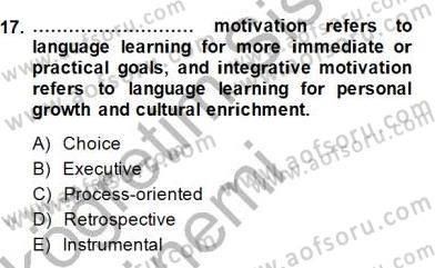 Dil Edinimi Dersi 2014 - 2015 Yılı (Vize) Ara Sınavı 17. Soru