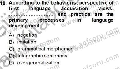 Dil Edinimi Dersi Ara Sınavı Deneme Sınav Soruları 18. Soru