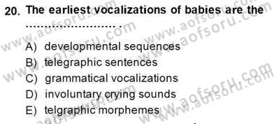 Dil Edinimi Dersi 2014 - 2015 Yılı (Vize) Ara Sınavı 20. Soru