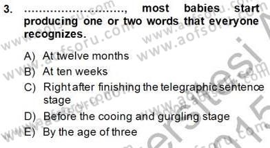 Dil Edinimi Dersi Ara Sınavı Deneme Sınav Soruları 3. Soru