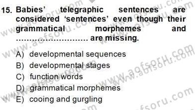Dil Edinimi Dersi 2014 - 2015 Yılı (Final) Dönem Sonu Sınavı 15. Soru