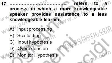 Dil Edinimi Dersi 2014 - 2015 Yılı (Final) Dönem Sonu Sınav Soruları 17. Soru