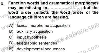 Dil Edinimi Dersi 2015 - 2016 Yılı (Vize) Ara Sınavı 5. Soru