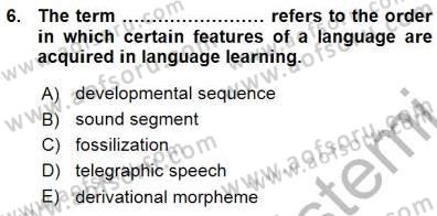 Dil Edinimi Dersi Ara Sınavı Deneme Sınav Soruları 6. Soru