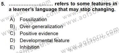 Dil Edinimi Dersi 2015 - 2016 Yılı (Final) Dönem Sonu Sınav Soruları 5. Soru
