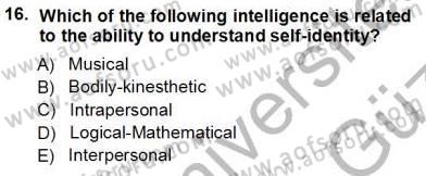 Yabancı Dil Öğretiminde Ölçme Ve Değerlendirme 1 Dersi Ara Sınavı Deneme Sınav Soruları 16. Soru