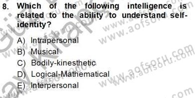 Yabancı Dil Öğretiminde Ölçme Ve Değerlendirme 1 Dersi Ara Sınavı Deneme Sınav Soruları 8. Soru